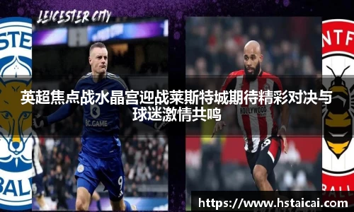 NG28英超焦点战水晶宫迎战莱斯特城期待精彩对决与球迷激情共鸣