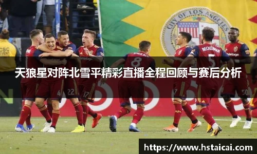 天狼星对阵北雪平精彩直播全程回顾与赛后分析